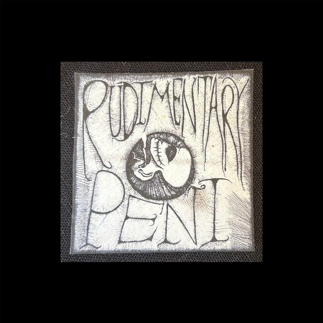 rudimentary peni patch